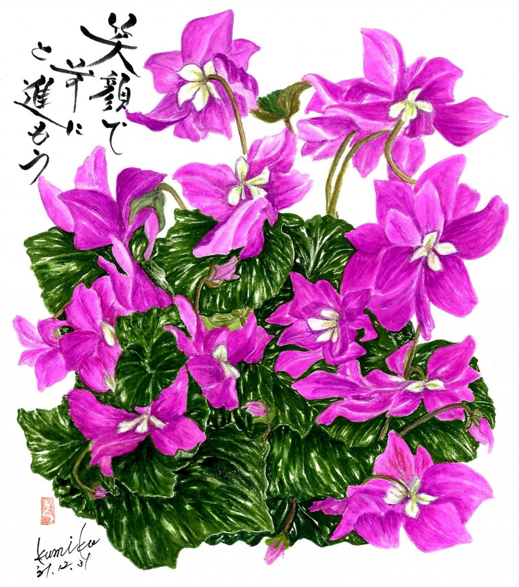 紫シクラメン　花言葉「絆」