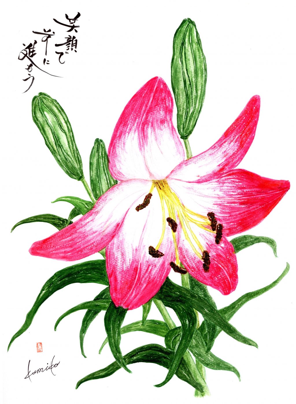 スカシ百合　花言葉「飾らぬ美」