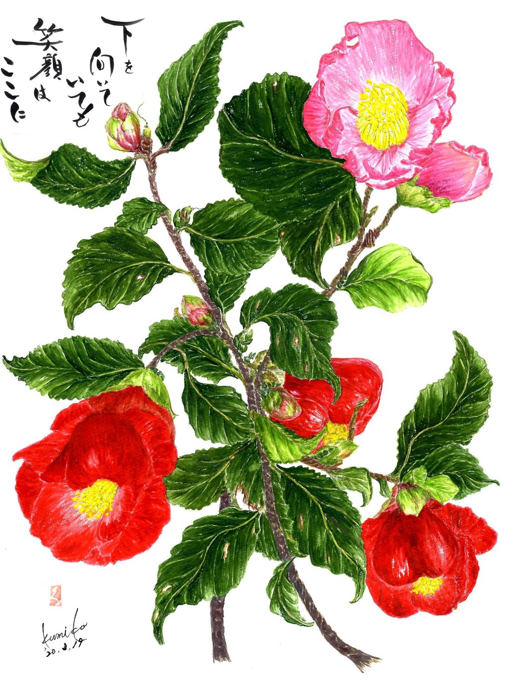 一重の椿(赤・ピンクの椿)　花言葉「控えめな優しさ」