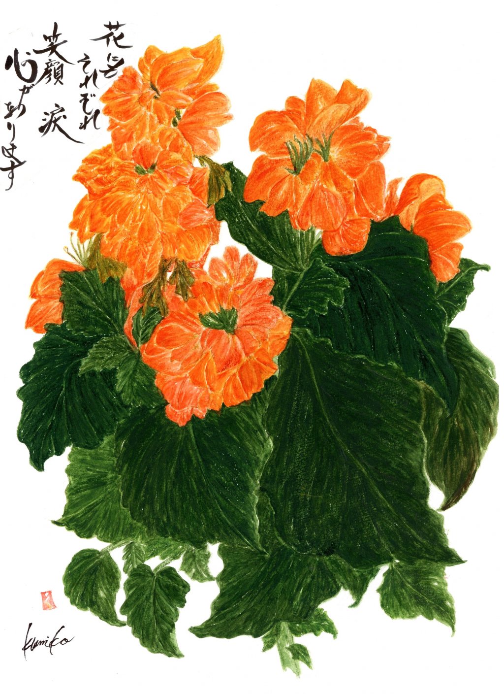 クロサンドラ　花言葉「友情」