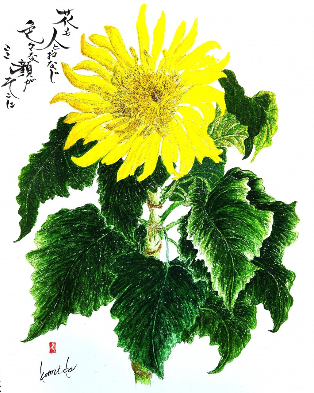 ヒマワリ(向日葵)　花言葉「あなただけを見つめる」