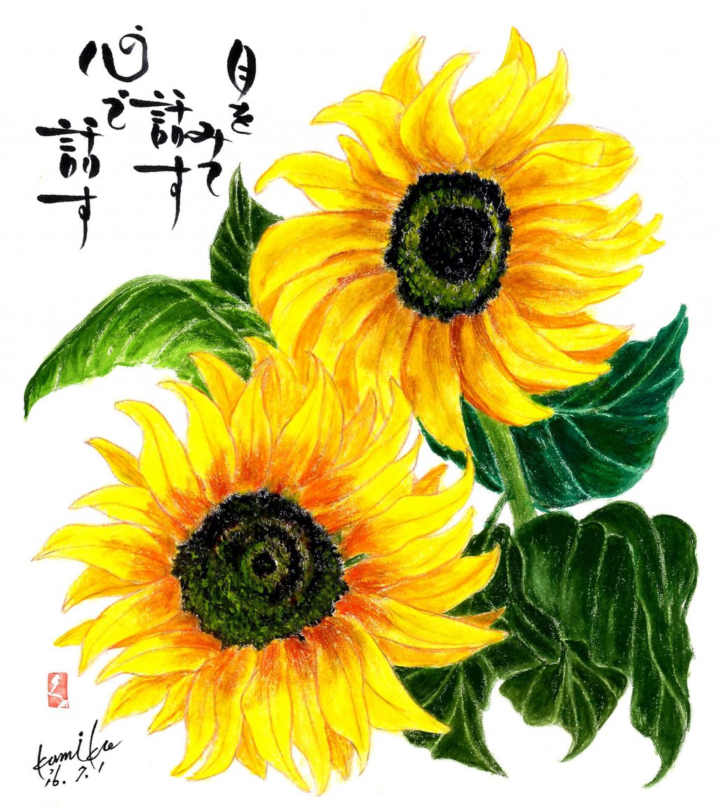 ひまわり(向日葵)　花言葉「愛嬌」