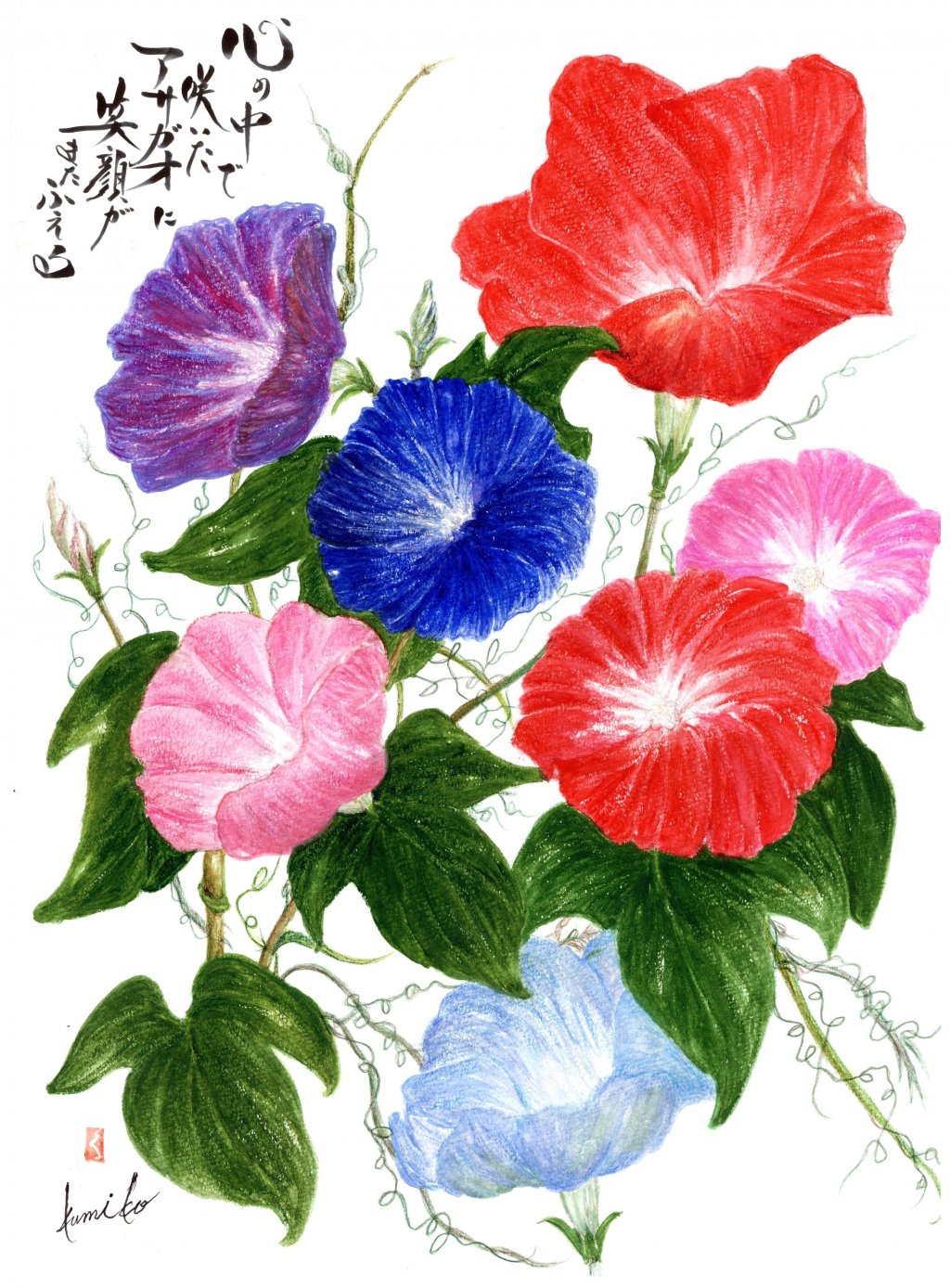 アサガオ(朝顔)　花言葉「明日も爽やかに」
