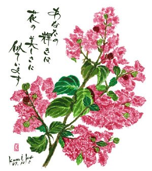 百日紅　　　　　　花言葉「不用意」