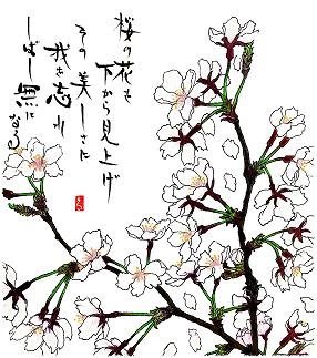 下から見た桜　花言葉「淡白」