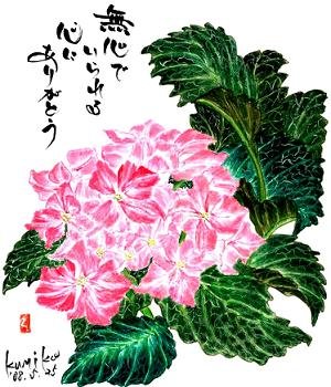 ピンクの紫陽花　花言葉「家族の結びつき」