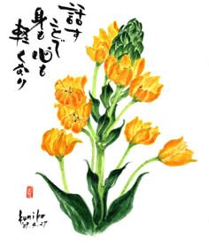 オレンジのオオニソガラム　花言葉「純粋」