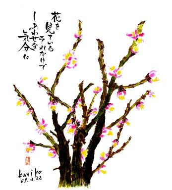 薄ピンクの梅　花言葉「澄んだ心」