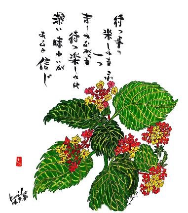 ランタナ　花言葉「協力」