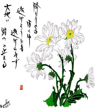 スプレー菊　花言葉「困難に耐える」