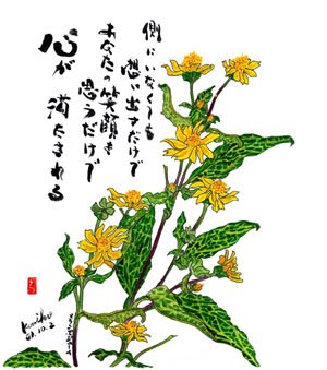 メランポジューム  花言葉「元気」