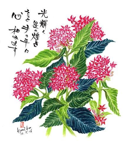 紅梅ペンスター　花言葉「鮮やかな行動」