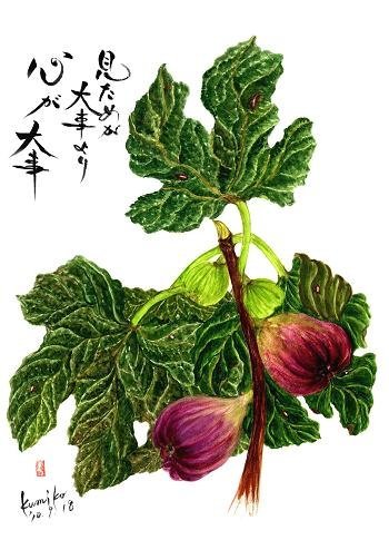 無花果（イチジク）　花言葉「証明」