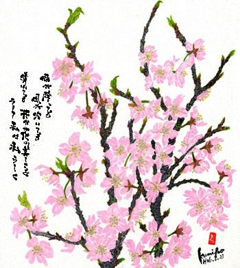 彼岸桜       花言葉「優れた美人」