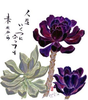 黒法師＆朧月   花言葉「永遠」