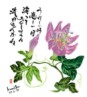 トケイソウ 花言葉「聖なる愛」