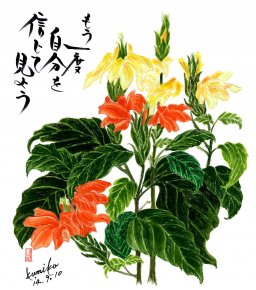 知多北部の地域ニュース 知多半島のイベント グルメ 観光 暮らしの情報などを紹介するサイト ちたまるナビ ちたまるnavi What S New ニュース グルメ ビューティー 遊ぶ 観光 ショッピング イベント 暮らし 安心 安全 交通 忘れな草 花言葉 私