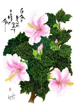 知多北部の地域ニュース 知多半島のイベント グルメ 観光 暮らしの情報などを紹介するサイト ちたまるナビ ちたまるnavi What S New ニュース グルメ ビューティー 遊ぶ 観光 ショッピング イベント 暮らし 安心 安全 交通 柘榴 ザクロ 花