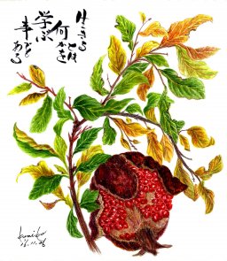 知多北部の地域ニュース 知多半島のイベント グルメ 観光 暮らしの情報などを紹介するサイト ちたまるナビ ちたまるnavi What S New ニュース グルメ ビューティー 遊ぶ 観光 ショッピング イベント 暮らし 安心 安全 交通 次郎柿 花言葉