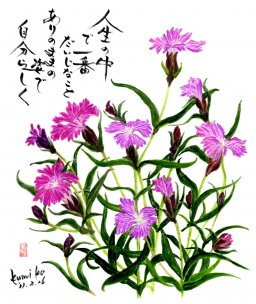 ナデシコ(撫子)　花言葉「無邪気」
