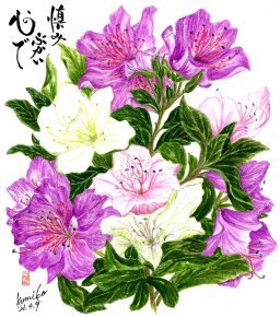 ツツジ(躑躅)　花言葉「慎み」