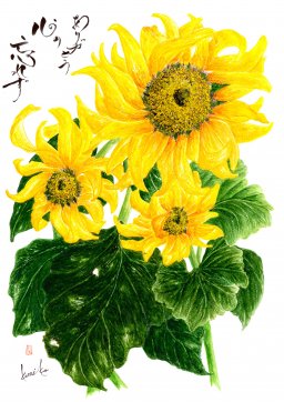 ヒマワリ(向日葵)　花言葉「あなたは素晴らしい」