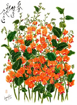 コリゼマ【和名≒柊豆(ヒイラギマメ)】 花言葉「栄光」