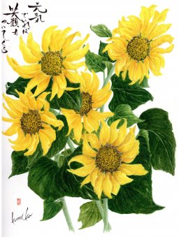 ヒマワリ(向日葵)　花言葉「崇拝」