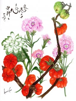 ナデシコ・クルクマ・ソラナムパンプキン　花言葉「ささやかな幸せ」