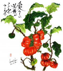 ソラナムパンプキン　花言葉「つつましい幸せ」