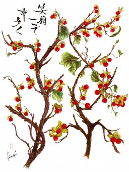 ツルウメモドキ　花言葉「努力」