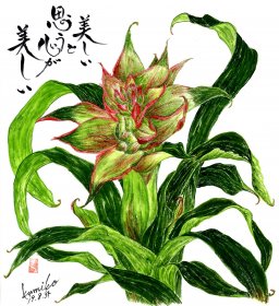 グズマニア・マグ二ヒカ（パインアップル科）　花言葉「いつまでも健康で幸せ」