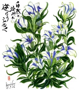 青白リンドウ　花言葉「病気に打ち勝つ」