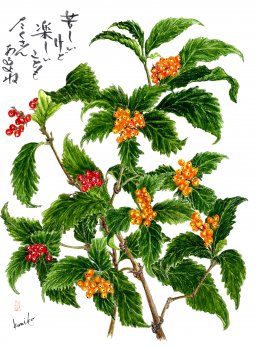 赤・黄センリョウ(千両)　花言葉「定める」