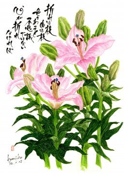 リリー百合　花言葉「無垢」