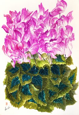 シクラメン　花言葉「内気」