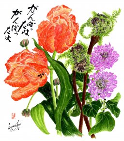 チューリップ＆ゼンマイ　花言葉「希望・秘めたる若さ」