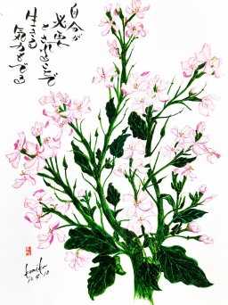 ダイコンの花(大根)　花言葉「けがれのない心」