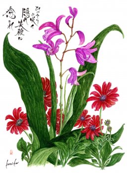 紫蘭(シラン)＆オステヲスペルマム　花言葉「美しい姿…＆…無邪気」