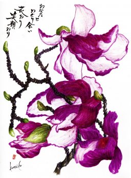 木蓮（モクレン）　花言葉「持続性」