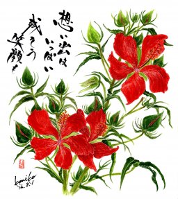 モミジアオイ(紅葉葵)　花言葉「穏和」