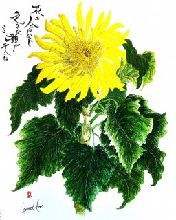 ヒマワリ(向日葵)　花言葉「あなただけを見つめる」