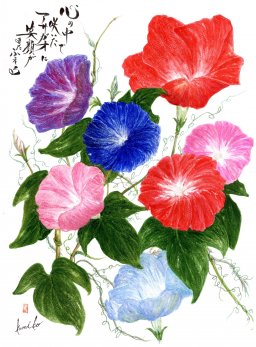 アサガオ(朝顔)　花言葉「明日も爽やかに」