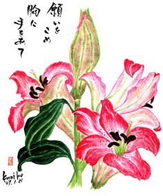 ピンクの百合　花言葉「純潔」