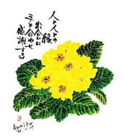黄色のジュリアン　花言葉「運命を開く」