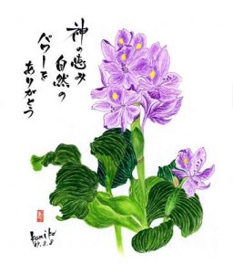 ホテイアオイ　花言葉「好意」