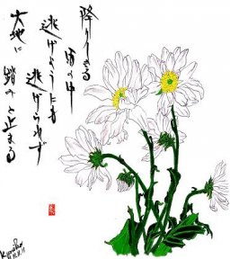 スプレー菊　花言葉「困難に耐える」
