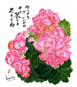 紅梅ベゴニア　花言葉「釣り合い」