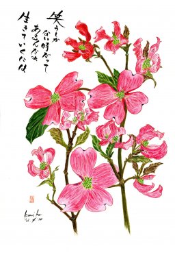 ハナミズキ　花言葉「あなたへの返礼」