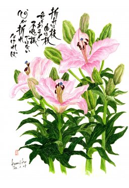 リリー（百合）　花言葉「無垢」